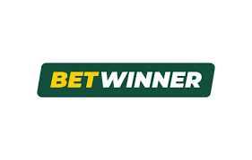 The Ultimate Guide to Betwinner Your Go-To Betting Platform