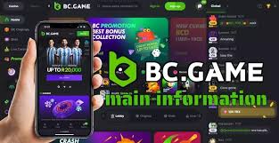 BC.Game RO Contacts Details BC.Game RO Contacts Details